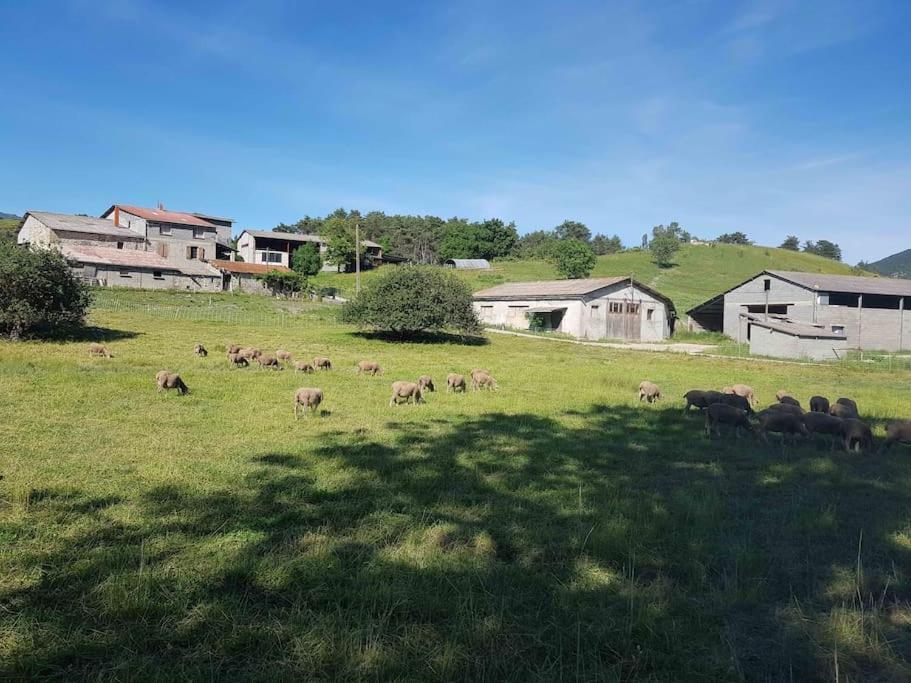 Gite Des Millets En Baronnies Rosans Eksteriør bilde